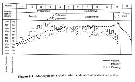 periodization tudor bompa pdf